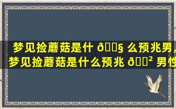 梦见捡蘑菇是什 🐧 么预兆男,梦见捡蘑菇是什么预兆 🌲 男性解梦